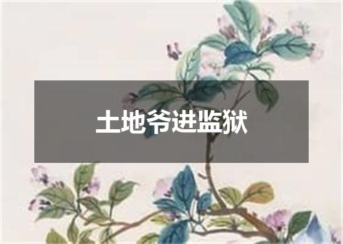 土地爷进监狱