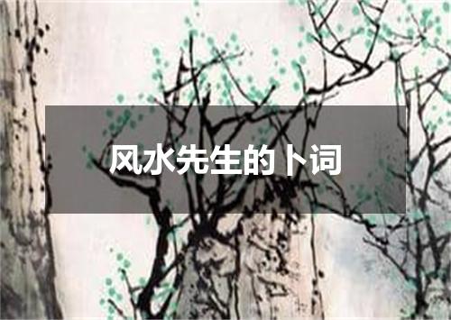 风水先生的卜词