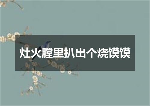 灶火膛里扒出个烧馍馍