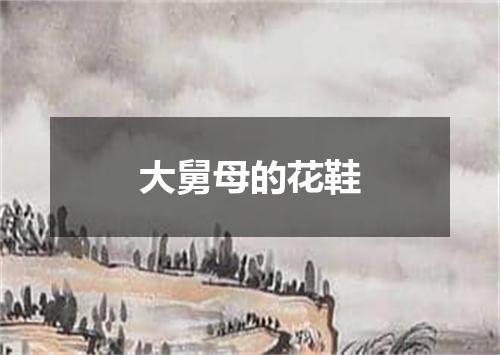 大舅母的花鞋