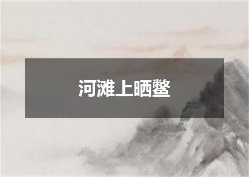 河滩上晒鳖