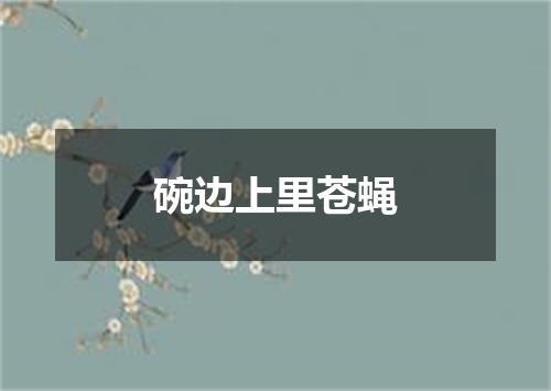 碗边上里苍蝇