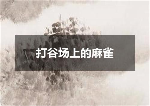 打谷场上的麻雀