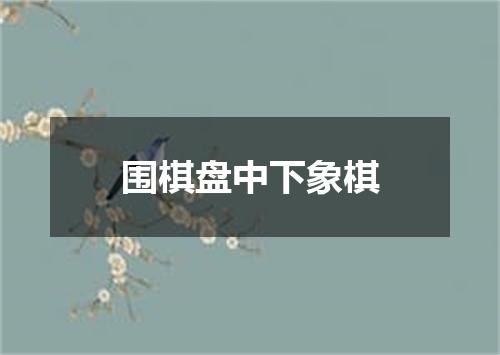 围棋盘中下象棋