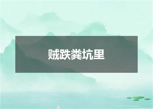 贼跌粪坑里