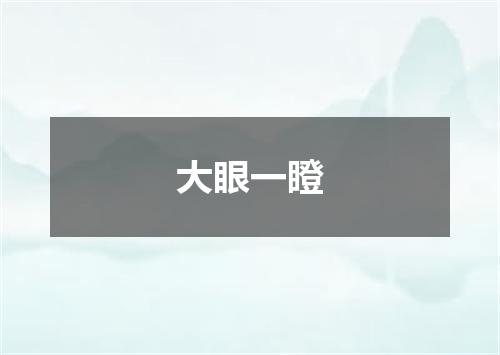 大眼一瞪