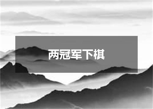两冠军下棋