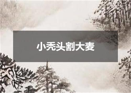 小秃头割大麦