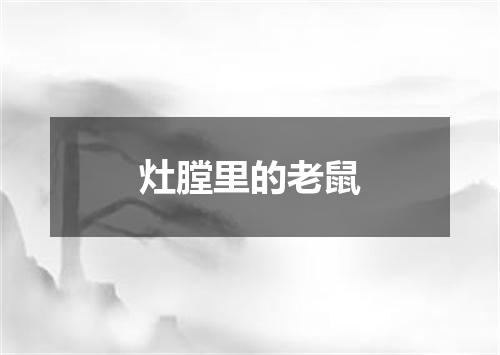灶膛里的老鼠
