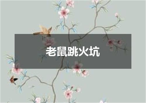 老鼠跳火坑
