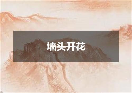 墙头开花