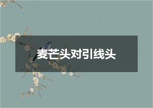 麦芒头对引线头