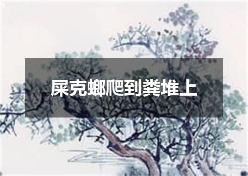 屎克螂爬到粪堆上