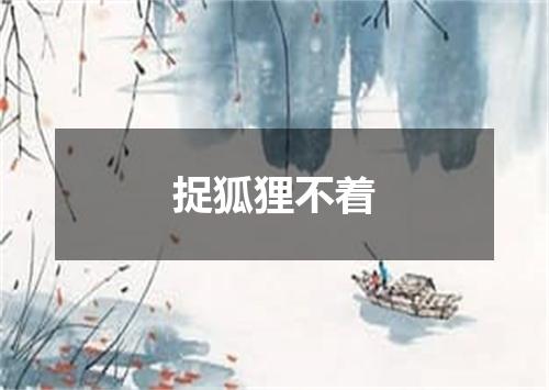 捉狐狸不着