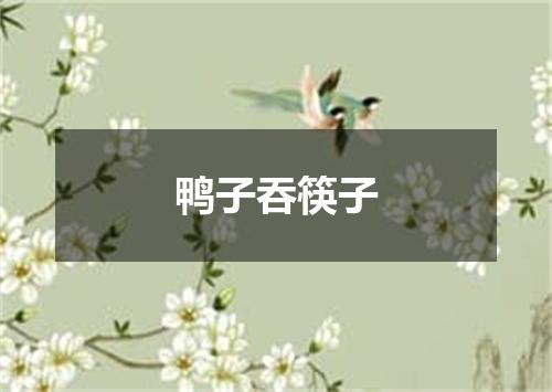 鸭子吞筷子