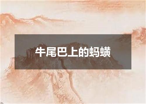牛尾巴上的蚂蟥