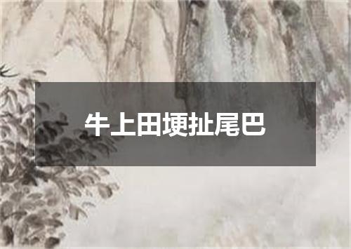 牛上田埂扯尾巴