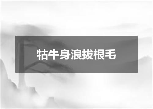 牯牛身浪拔根毛