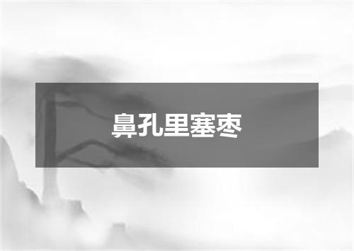 鼻孔里塞枣