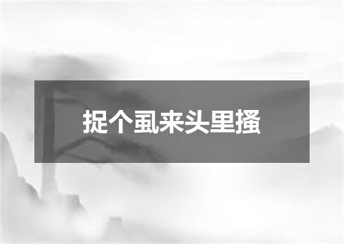 捉个虱来头里搔