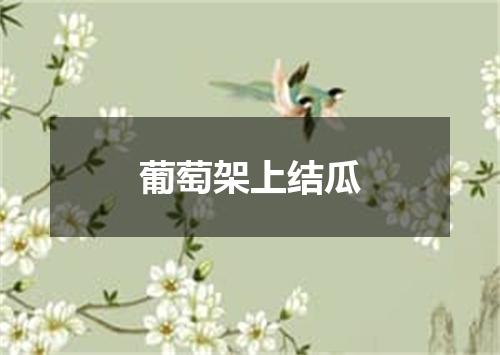 葡萄架上结瓜
