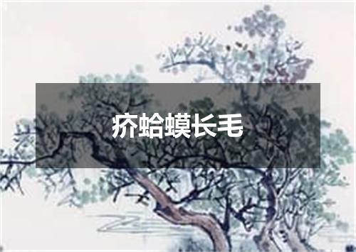 疥蛤蟆长毛