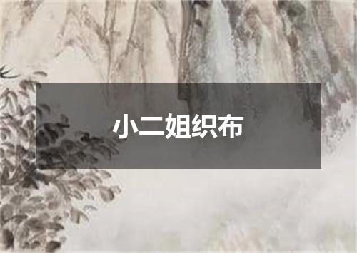 小二姐织布