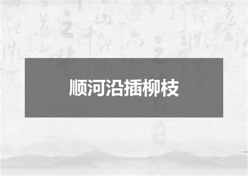顺河沿插柳枝