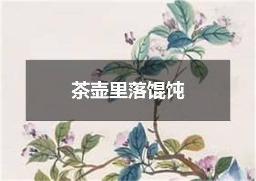 茶壶里落馄饨