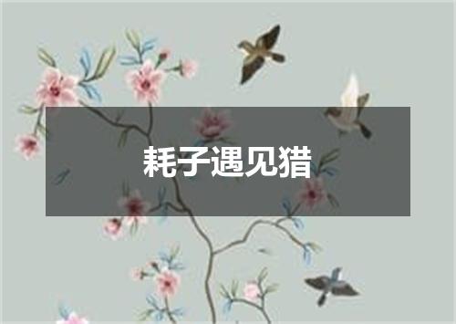 耗子遇见猎