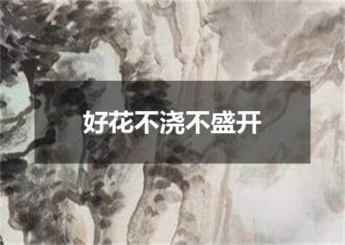 好花不浇不盛开