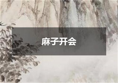 麻子开会