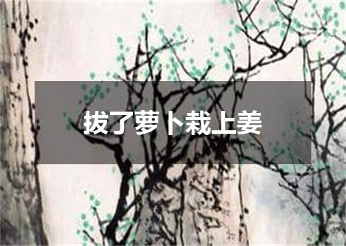 拔了萝卜栽上姜