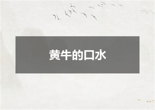 黄牛的口水