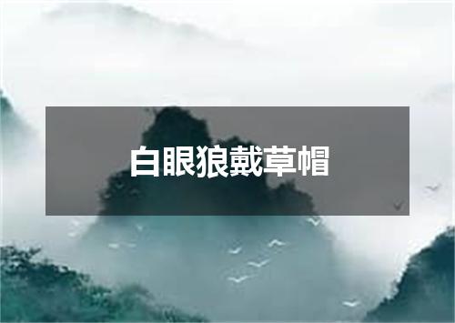白眼狼戴草帽