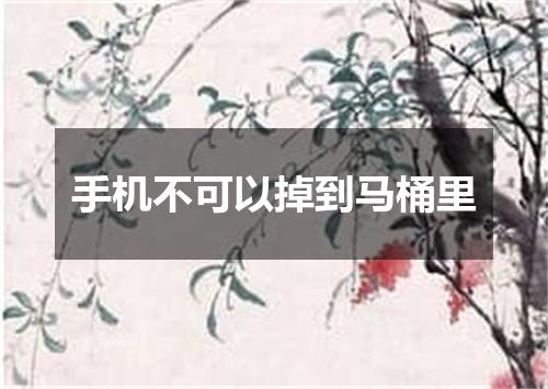 手机不可以掉到马桶里