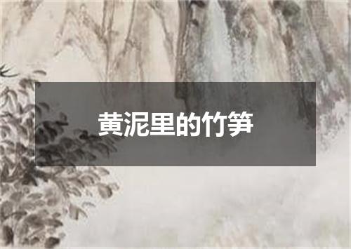 黄泥里的竹笋
