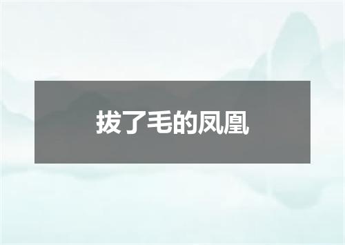 拔了毛的凤凰