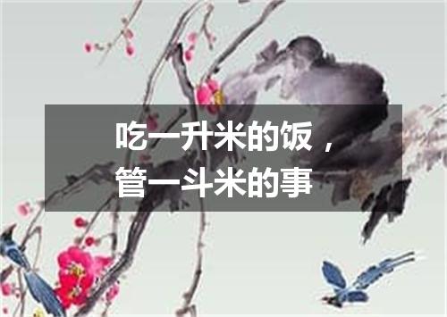 吃一升米的饭，管一斗米的事