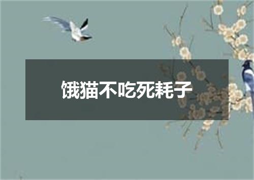 饿猫不吃死耗子