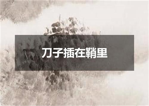 刀子插在鞘里