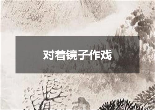 对着镜子作戏