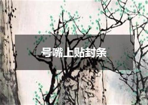 号嘴上贴封条