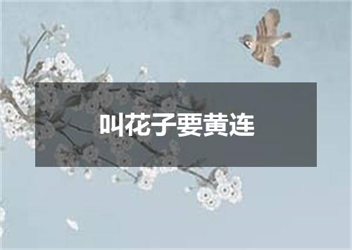 叫花子要黄连