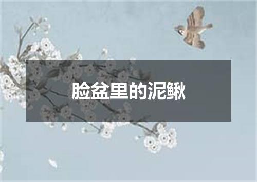 脸盆里的泥鳅