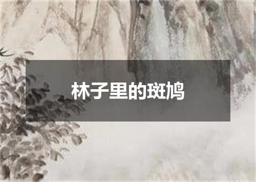 林子里的斑鸠