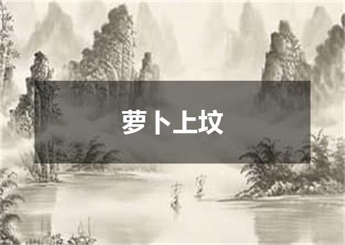 萝卜上坟