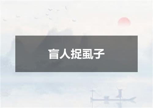 盲人捉虱子
