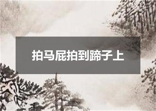 拍马屁拍到蹄子上