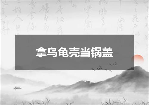 拿乌龟壳当锅盖